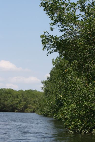 Puerto Hondo