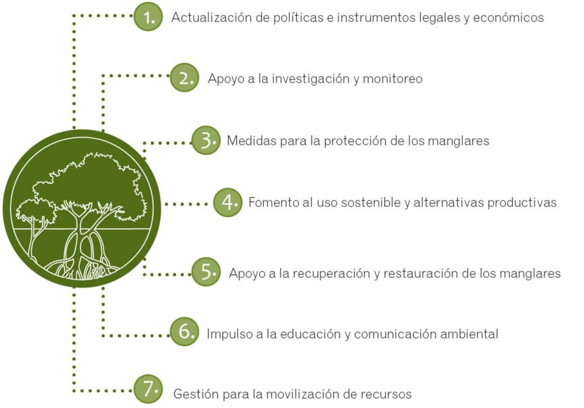 componente